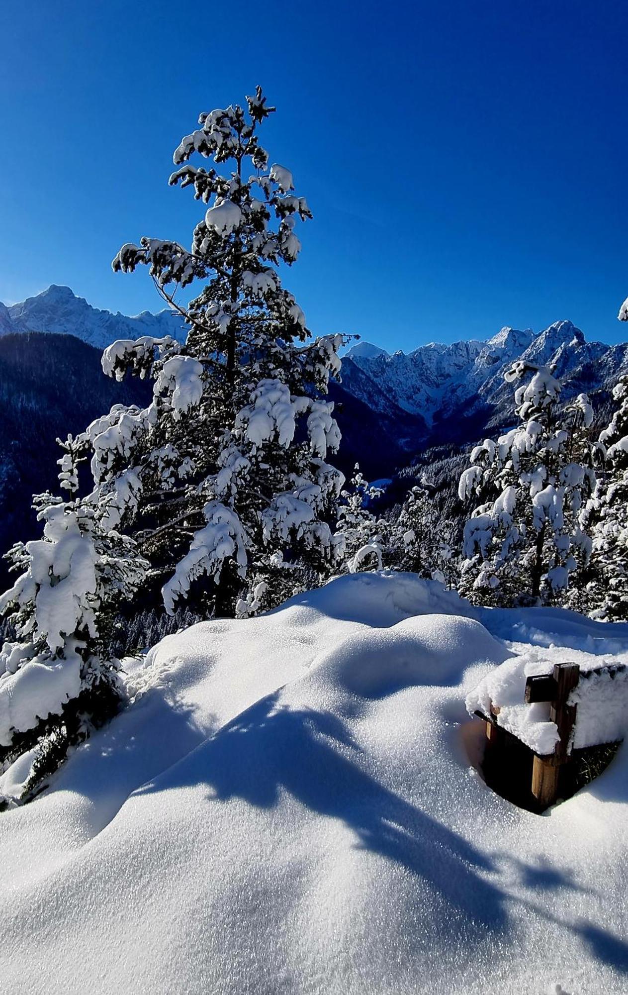 Holiday Chalet "Alpine Dreams" With Private Wellness Solčava 外观 照片