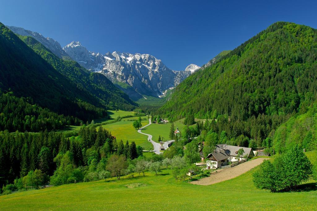 Holiday Chalet "Alpine Dreams" With Private Wellness Solčava 客房 照片