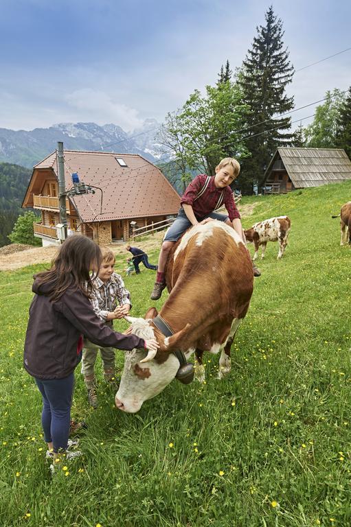 Holiday Chalet "Alpine Dreams" With Private Wellness Solčava 客房 照片