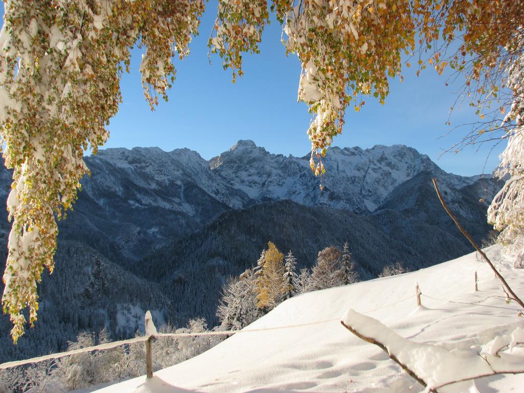 Holiday Chalet "Alpine Dreams" With Private Wellness Solčava 外观 照片